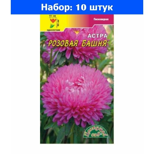 Астра Башня Розовая пионовидная 0,3г Одн 70см (Цвет сад) - 10 пачек семян