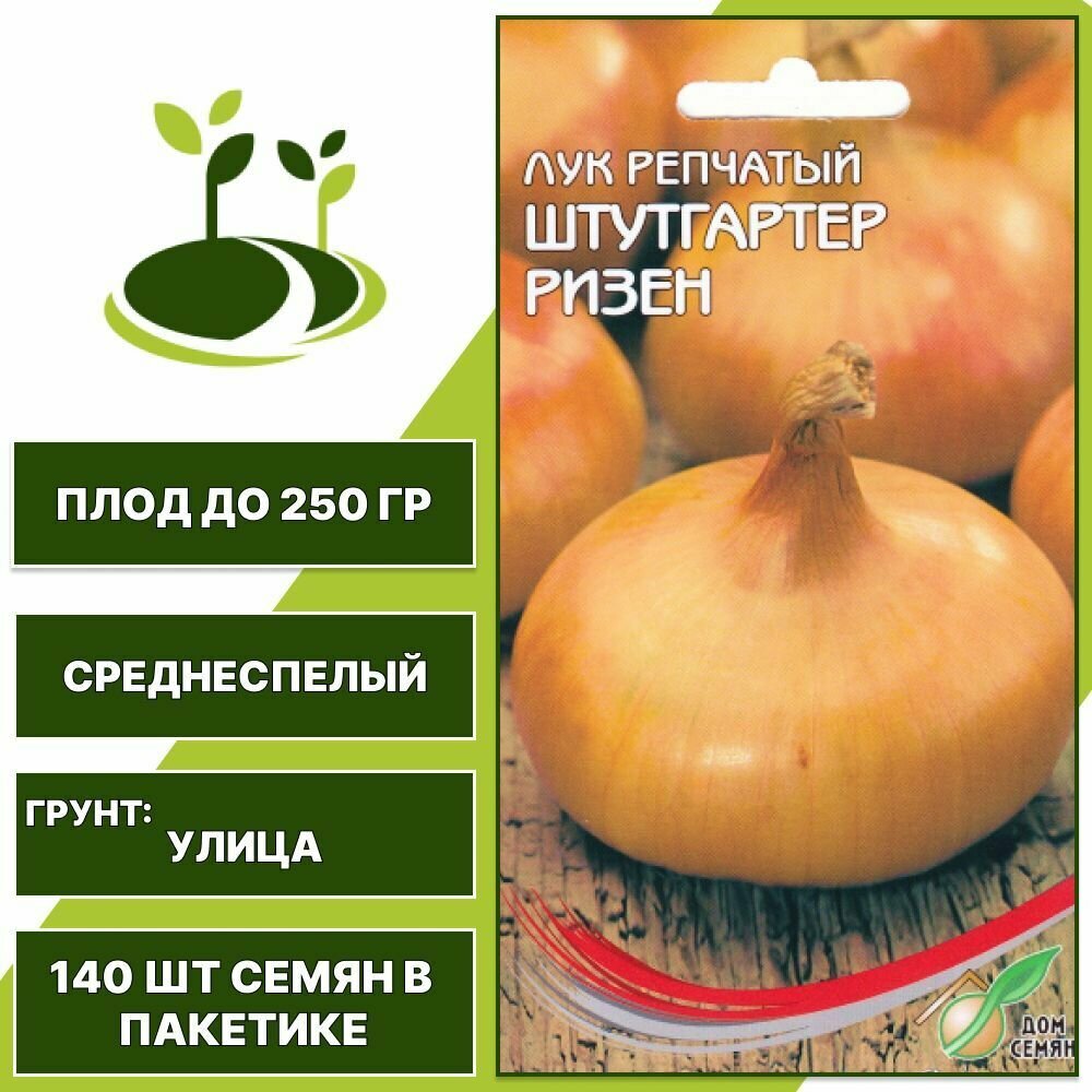 Лук Севок для посадки Бамбергер 1кг Broer 211492297 купить в интернет-магазине W