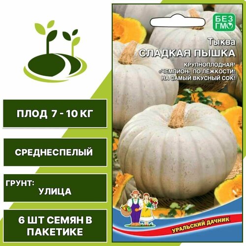 Тыква Сладкая Пышка 1 шт + подарок, количество семян в пакетике 6 шт