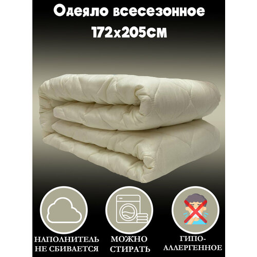 Одеяло 2 спальное всесезонное 172х205 см для сна и отдыха