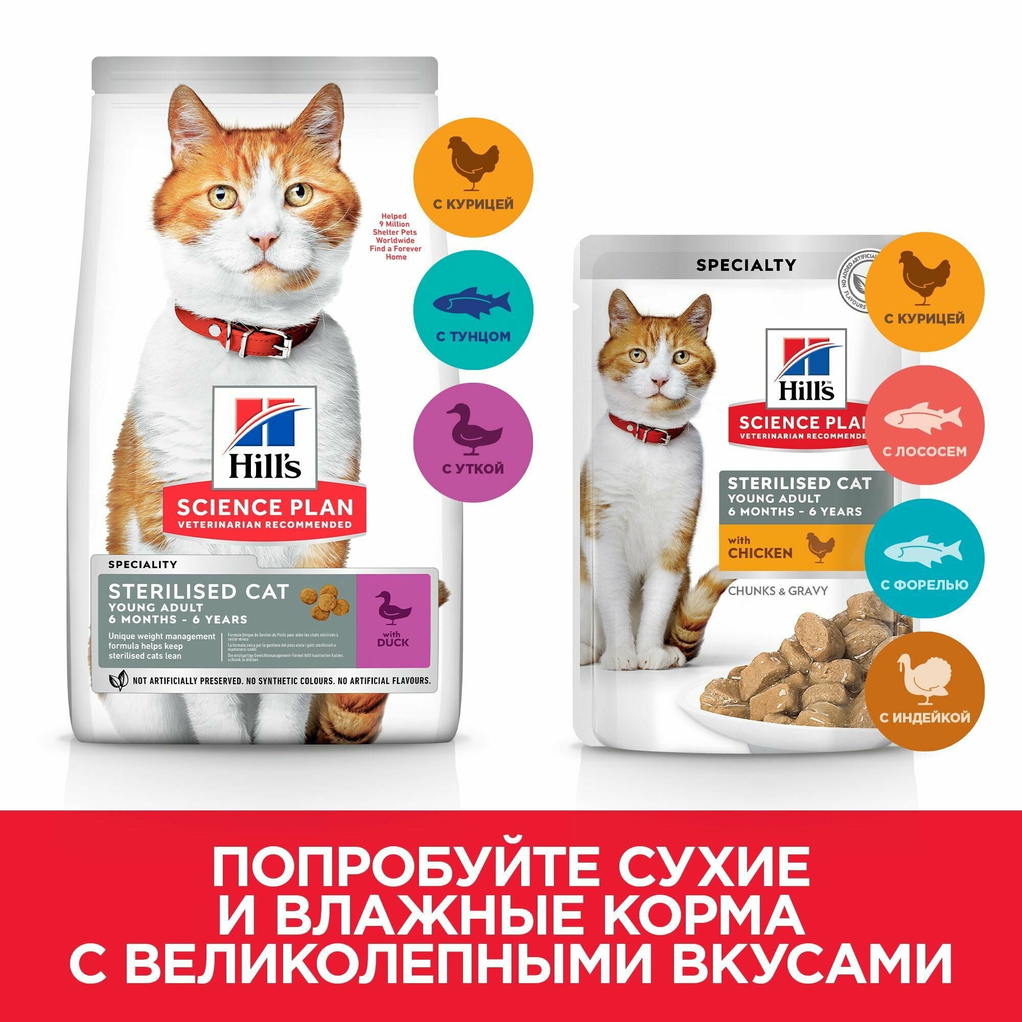 Сухой корм Hill's Science Plan Advanced Fitness (Фитнес) для взрослых собак, ягненок/рис, 12кг - фото №8