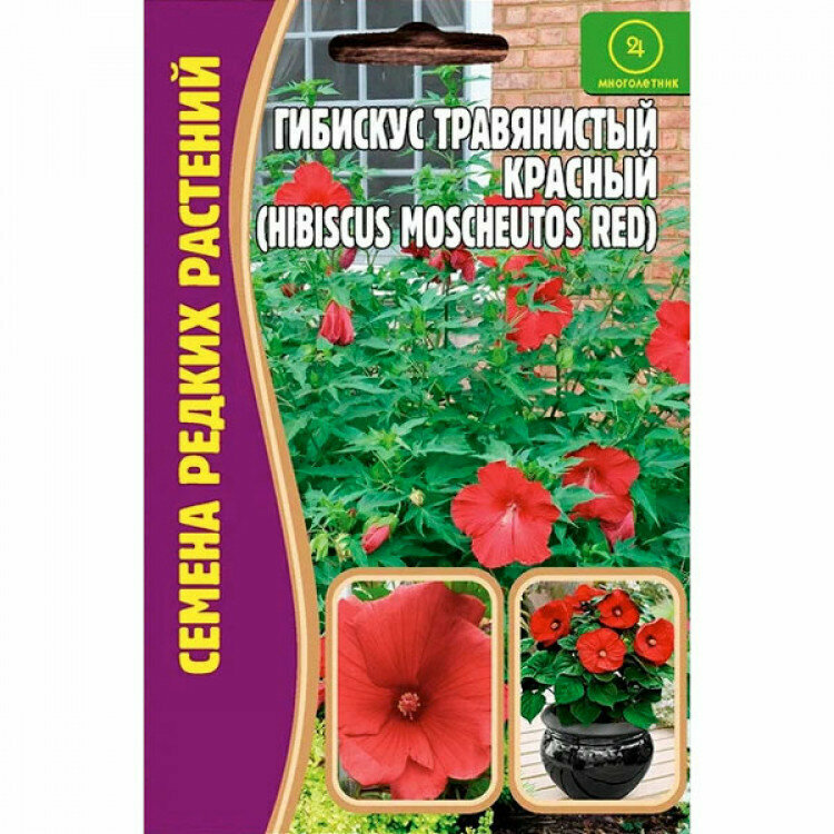 Семена Гибискуса травянистого красного (Hibiscus moscheutos red) (5 семян).