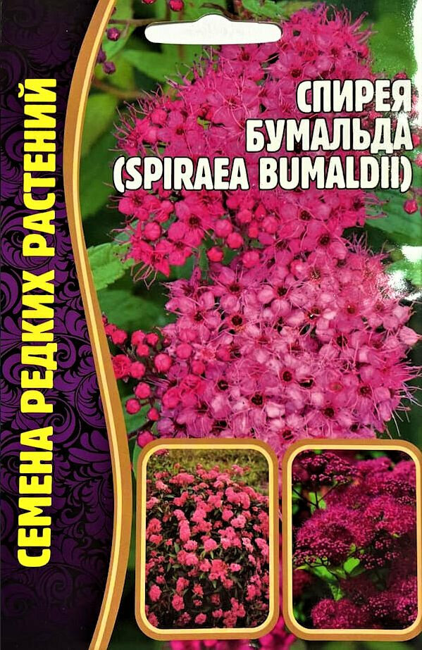Семена Спиреи Бумальда (Spiraea Bumaldii) (001г)-Семена редких растений