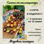 Купидон томат отзывы описание сорта фото характеристика — купить по низкойцене на Яндекс Маркете