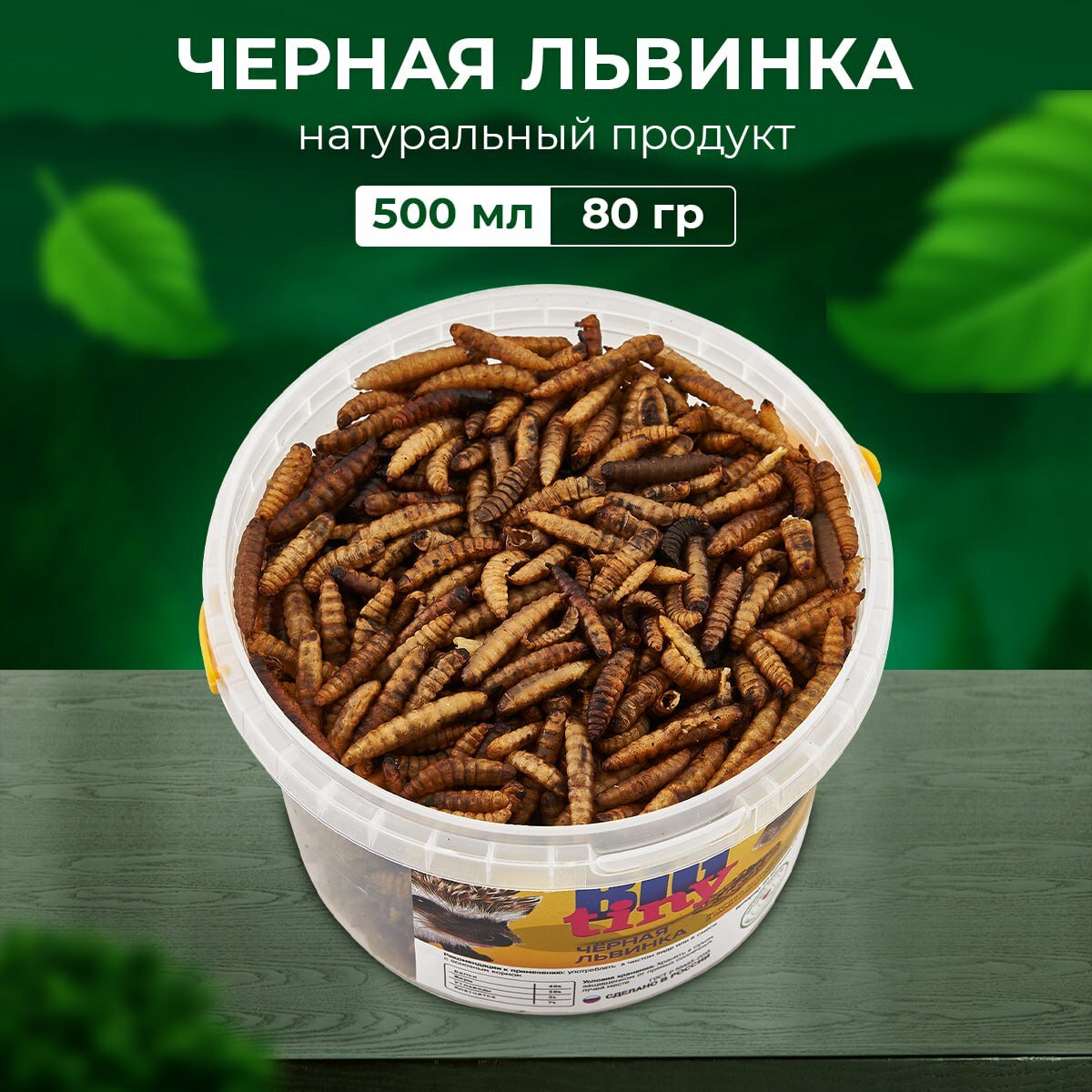 Личинки черной львинки