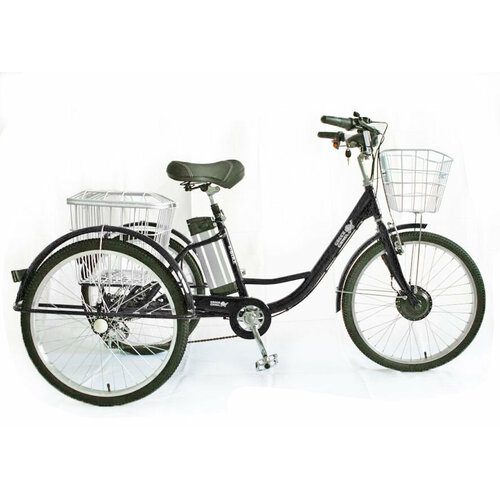 Трехколесный электровелосипед GreenCamel Трайк-24 V2 R24 250W 48V12Ah 7650000₽