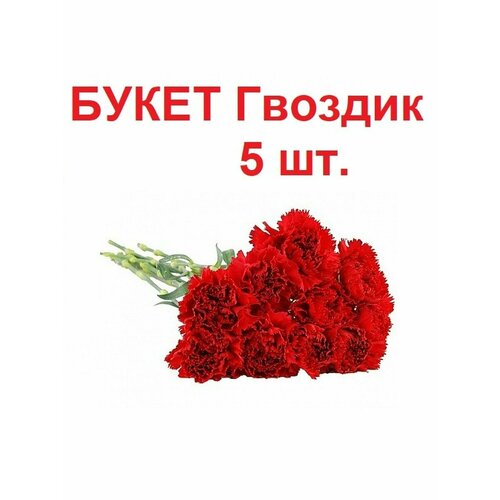 Букет красных гвоздик букет цветов искусственных