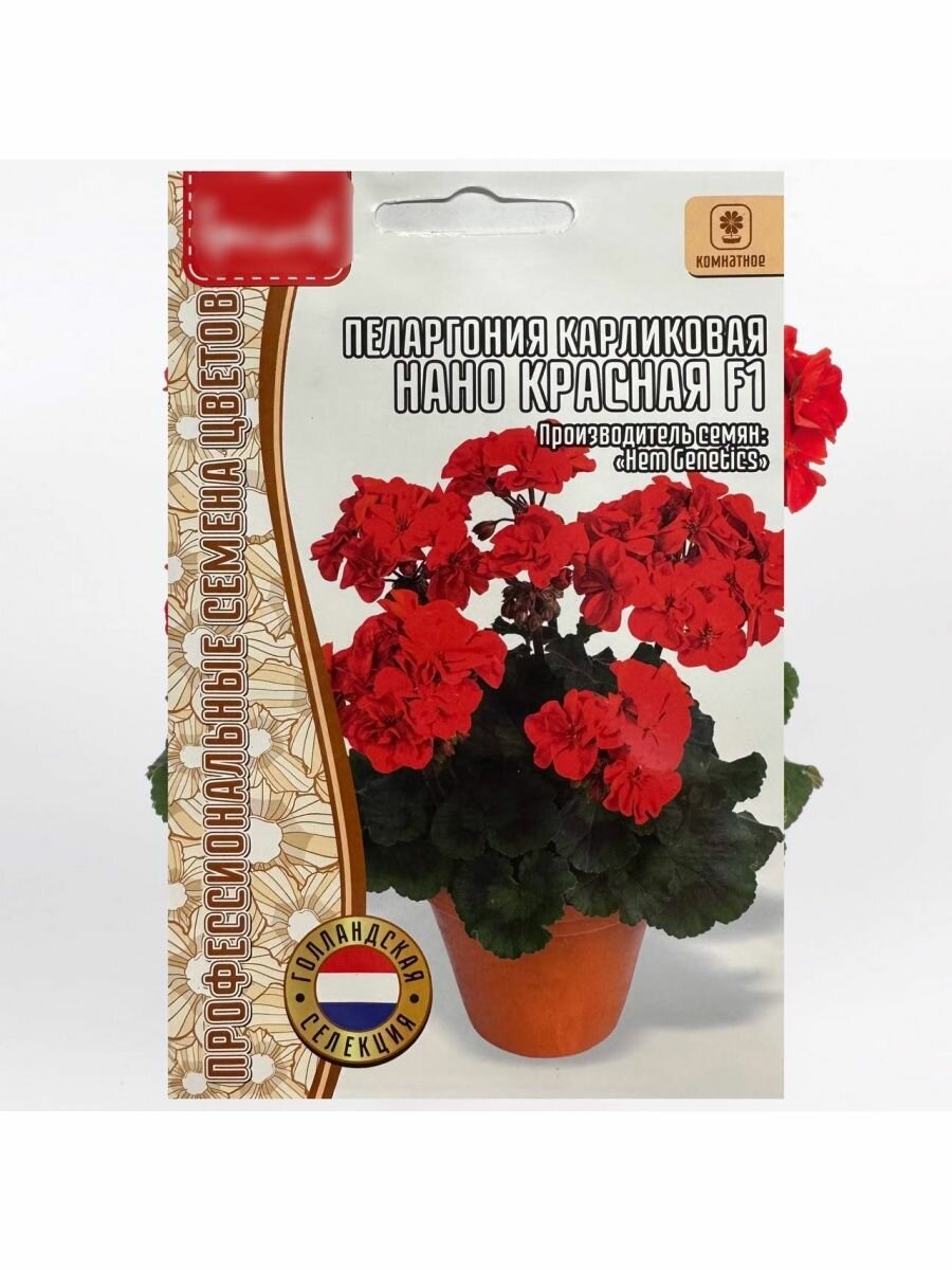 фото Семена цветов Пеларгония герань многолетник красная