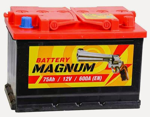Изображение товара Аккумулятор автомобильный Magnum 75 А/ч 600 A обр. пол. Евро авто (278x175x190)