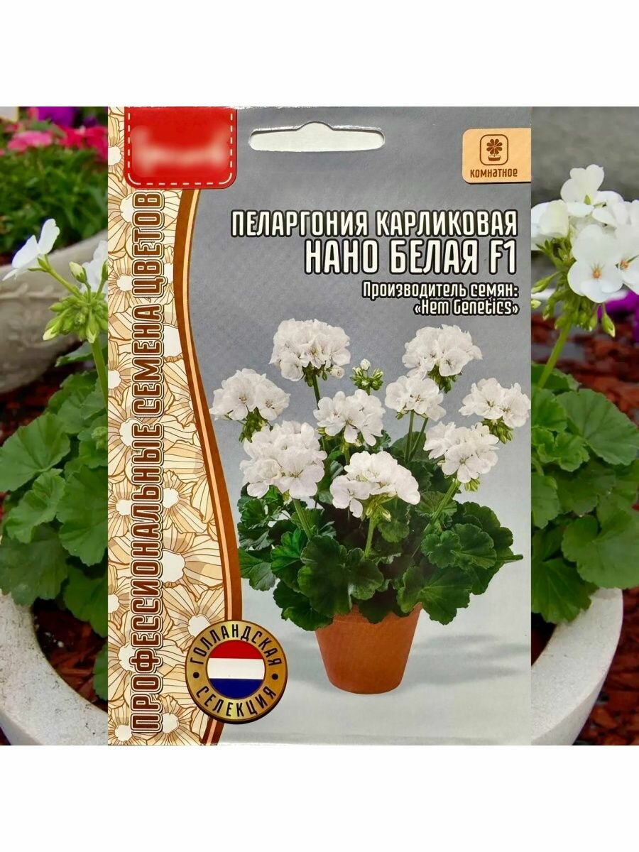 Семена цветов для дома и балкона Пеларгония белая