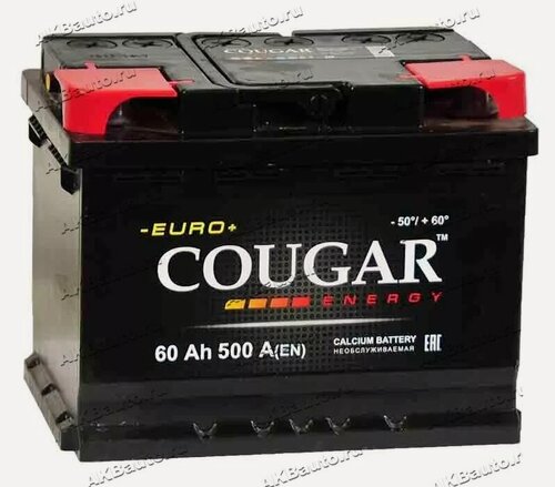 Изображение товара Аккумулятор автомобильный Cougar Energy 60 А/ч 500 А прям. пол. Росс. авто (242x175x190)