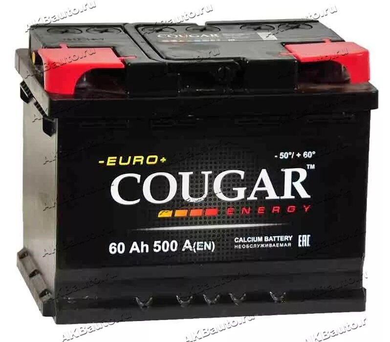 Аккумулятор автомобильный Cougar Energy 60 А/ч 500 А прям. пол. Росс. авто (242x175x190)