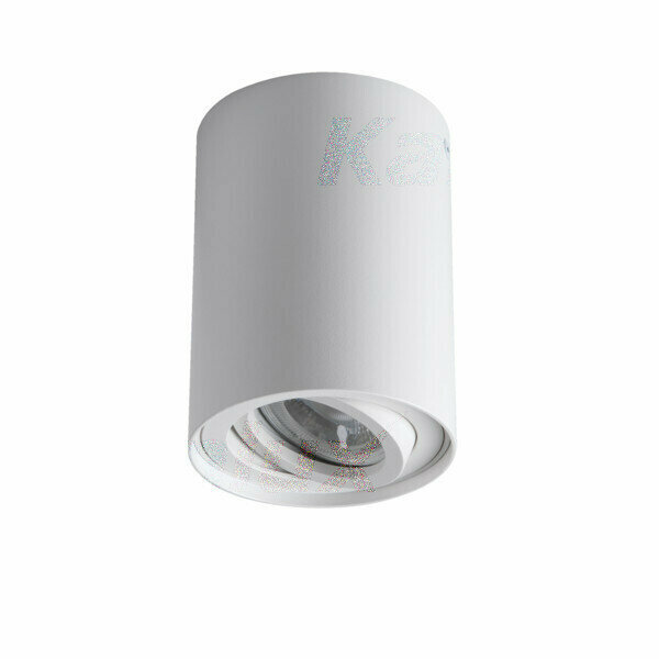 KANLUX Потолочный точечный светильник BORD XS DLP-50-W