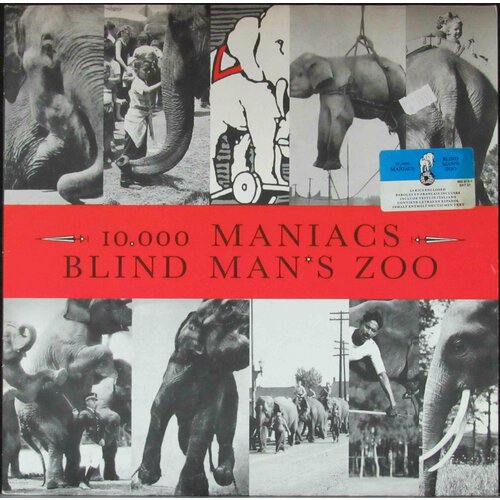 10000 Maniacs Виниловая пластинка 10000 Maniacs Blind Man's Zoo 10000 maniacs виниловая пластинка 10000 maniacs blind man s zoo