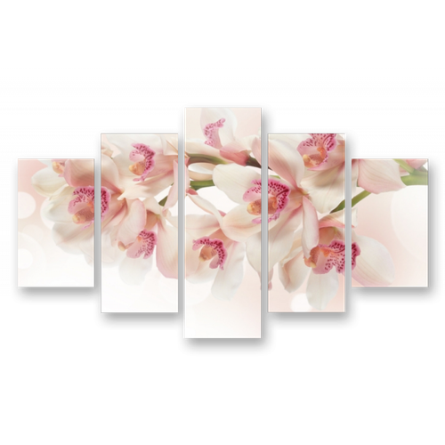 Модульная картина на стекле | Diva Kartina | Цветы. Орхидеи на ветке | 150X90 см