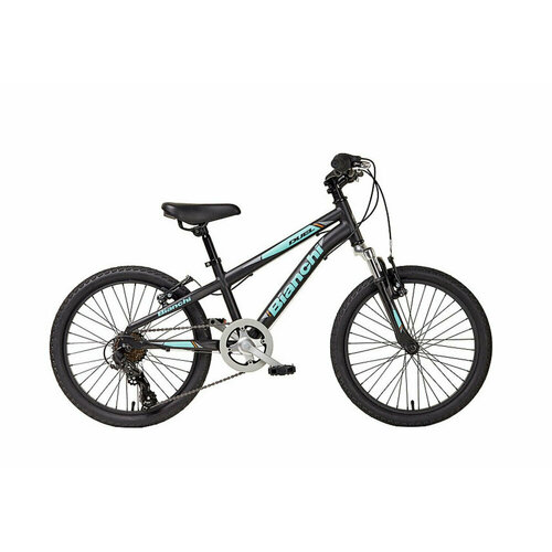 фото Велосипед bianchi duel 20" boy 6sp (2022) черный