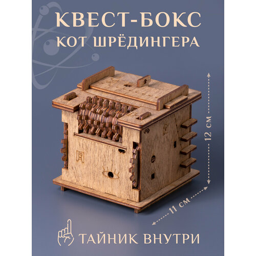 Квест-шкатулка Кот Шредингера