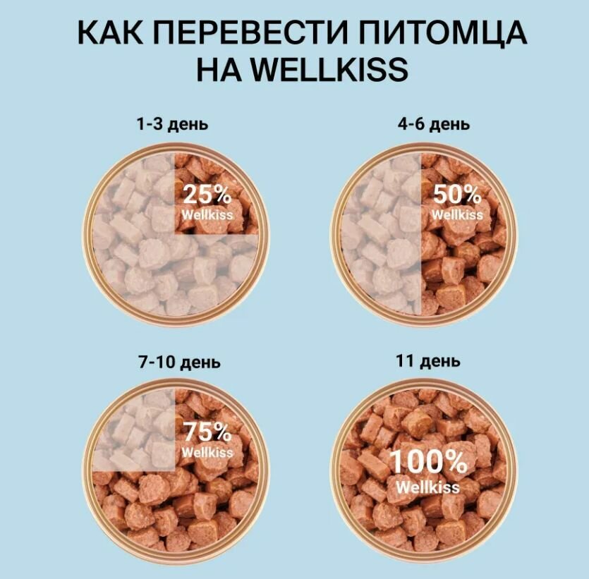 12 штук Wellkiss Adult Влажный корм (пауч) для взрослых кошек, с уткой в соусе, 85 гр — фото 1