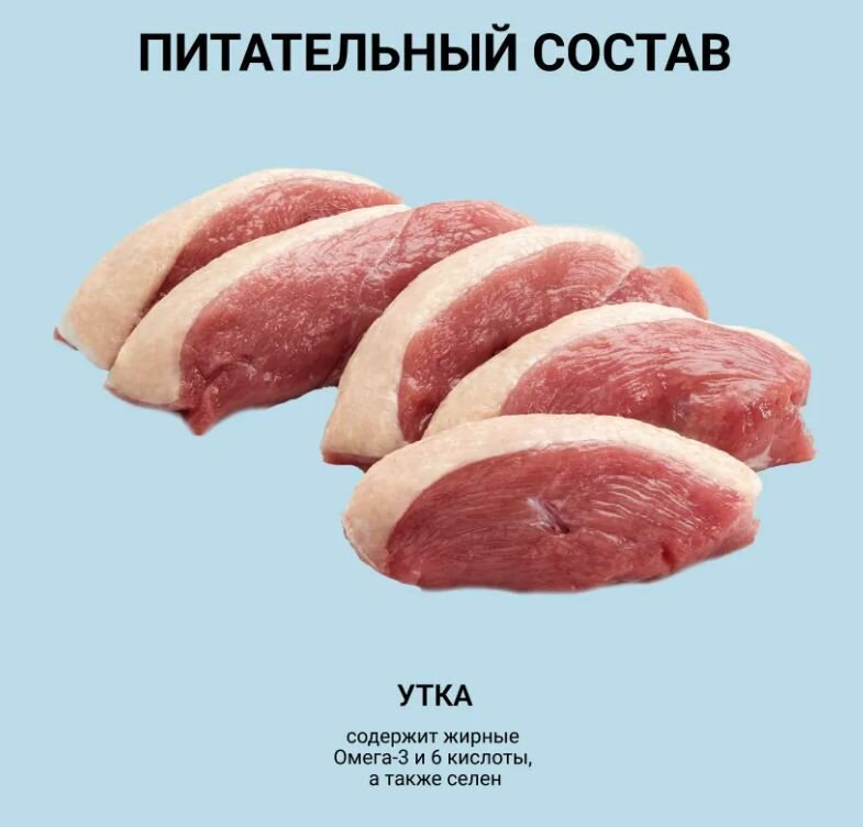 12 штук Wellkiss Adult Влажный корм (пауч) для взрослых кошек, с уткой в соусе, 85 гр — фото 1