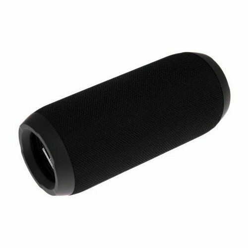 Портативная колонка D-PS1510 10Вт BT microSD USB AUX FM 1200мАч черная 143300₽