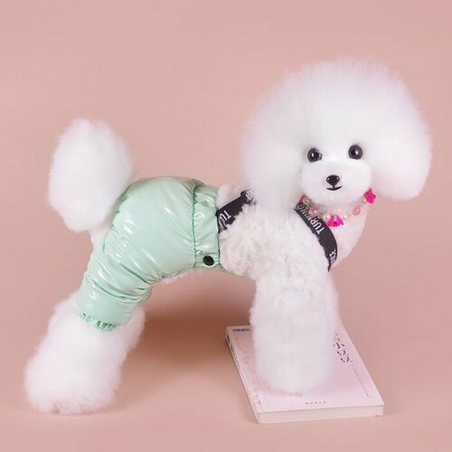 Пижон Комбинезон-штаны для собак, размер M (ДС 36, от 40 см), мятный