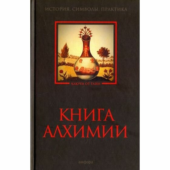 Книга Амфора Книга алхимии. 2016 год, В. Рохмистров