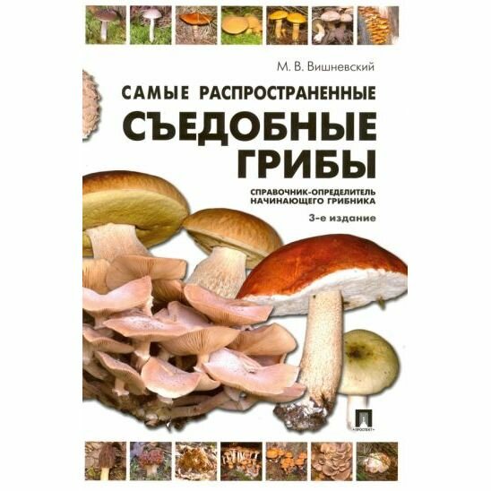Книга Самые распространенные съедобные грибы - фото №4