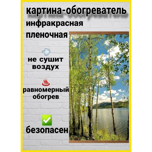 Обогреватель настенный картина пленочный Березы 169000₽
