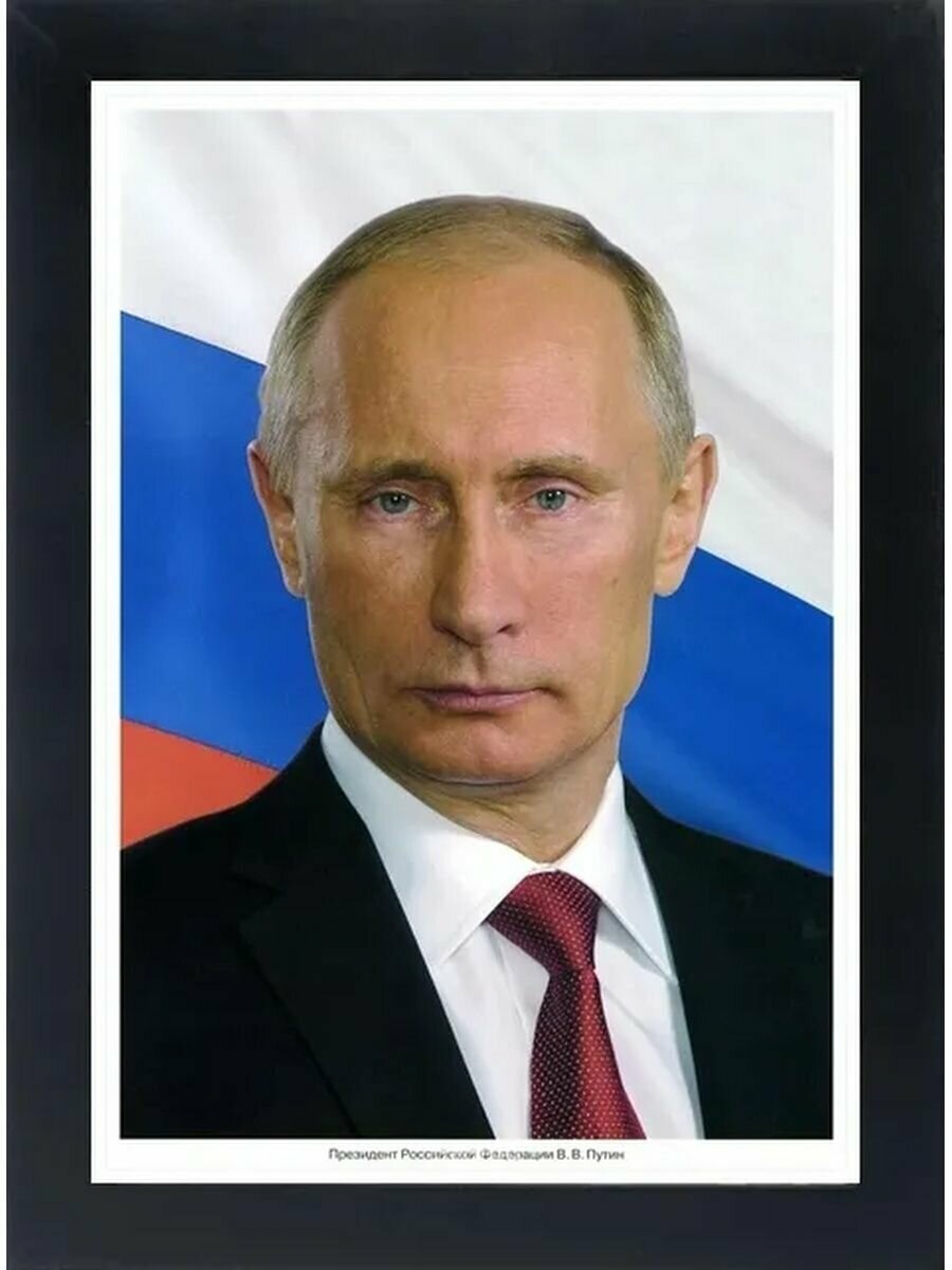 Портрет путина на фоне флага — купить по низкой цене на Яндекс Маркете