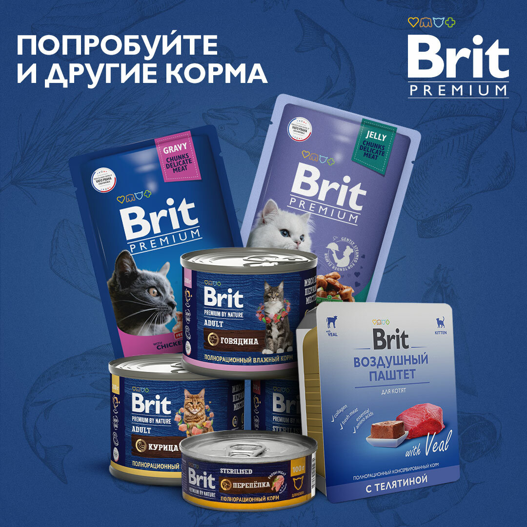 Brit Premium Cat Indoor для взрослых домашних кошек Курица, 2 кг. - фотография № 19