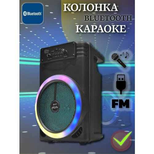 Портативная музыкальная колонка Bluetooch ZQS8146