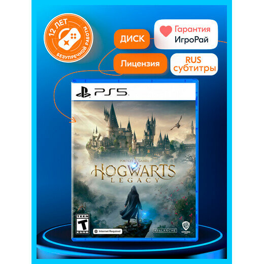 Игра Hogwarts Legacy (PS5 русские субтитры)