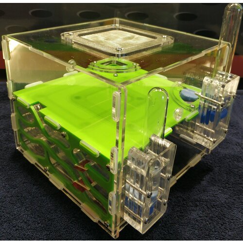 Муравьиная ферма Terra Town Large Antlife. r в собранном виде + антипобег. Колония муравьёв M. Structor - в подарок!