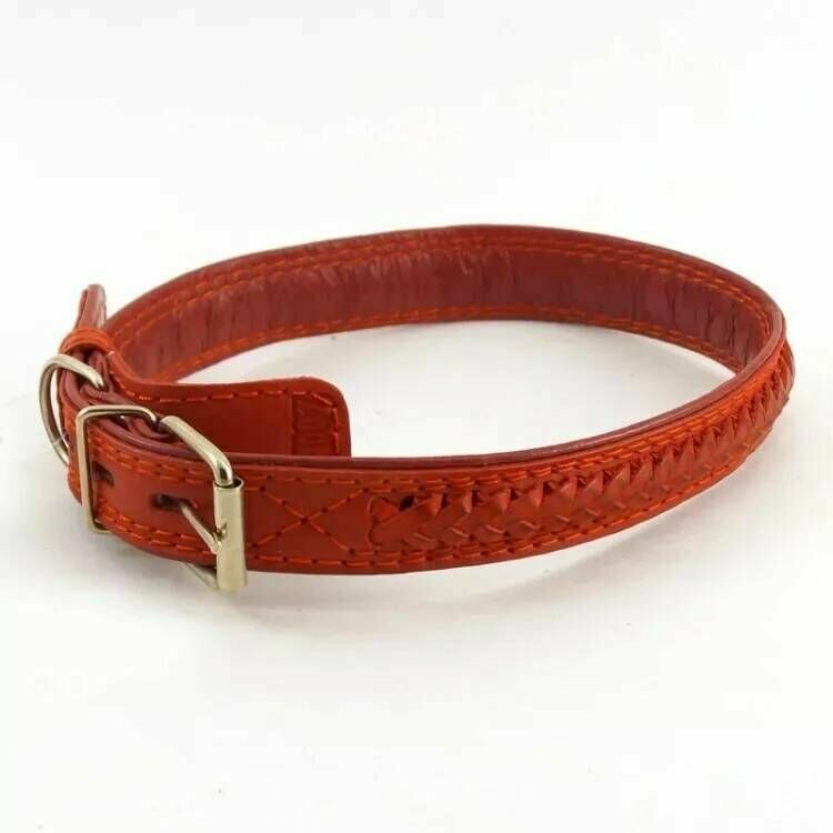 фото Zoomaster Ошейник плетеный подвернутый, 25х550 мм