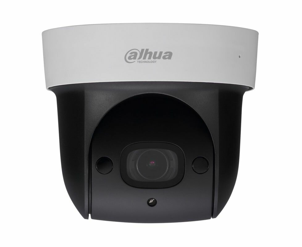 Камера видеонаблюдения Dahua DH-SD29204UE-GN-W белый/черный
