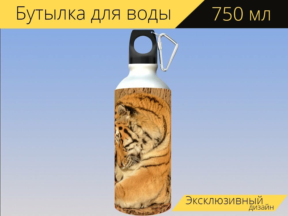 Бутылка фляга для воды "Тигр, лапа, кот" 750 мл. с карабином и принтом