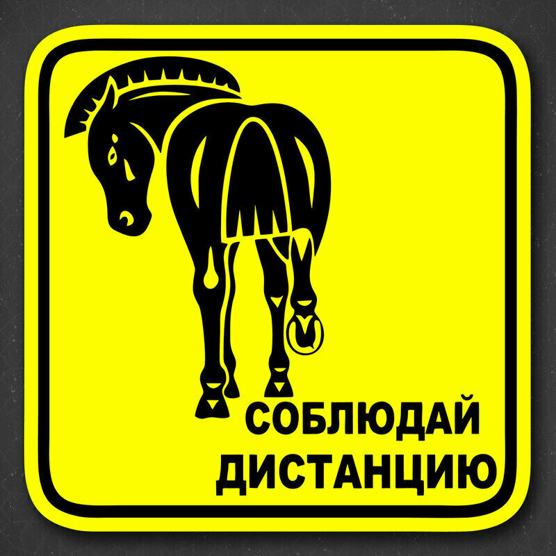 Наклейка на авто "Конь - соблюдай дистанцию" 19x19 см