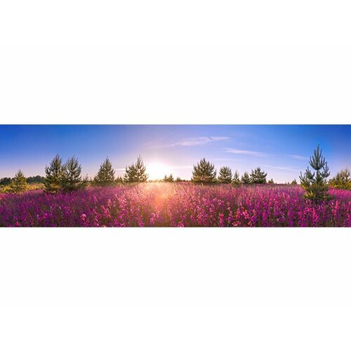 Фартук для кухни на стену с доп. защитой