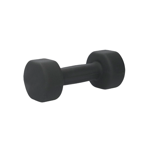 Гантель для аэробики неопреновая PRCTZ NEOPRENE DUMBBELL 5 кг 1590₽