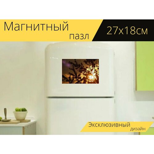 Магнитный пазл Кустарник, силуэт, подсветка на холодильник 27 x 18 см. магнитный пазл метла кустарник ветвь на холодильник 27 x 18 см