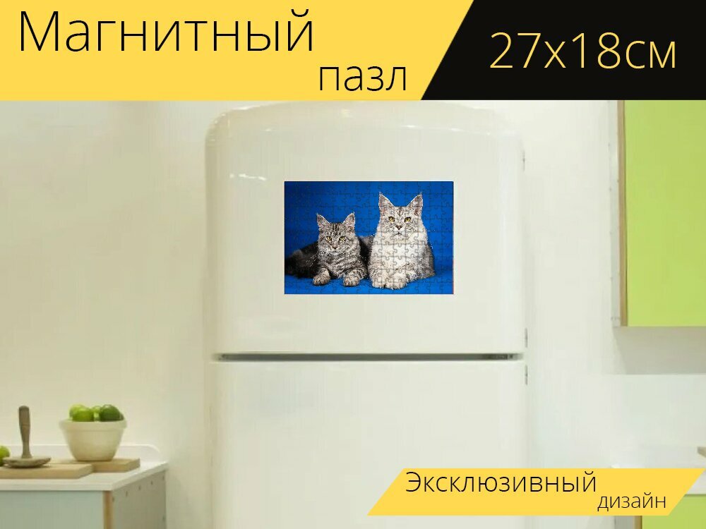 Магнитный пазл "Мейн кун, котята, милые" на холодильник 27 x 18 см.