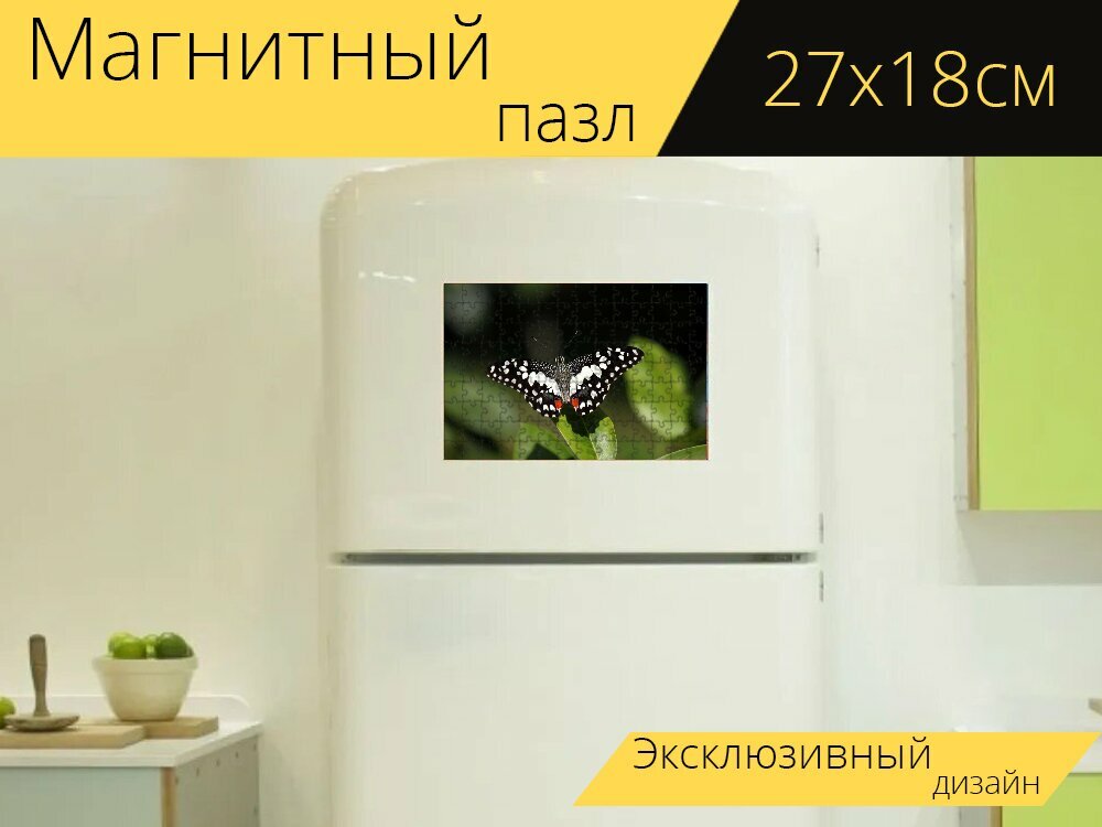 Магнитный пазл "Бабочка, насекомые, сады" на холодильник 27 x 18 см.