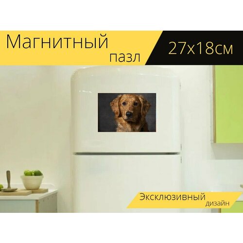 фото Магнитный пазл "золотистый ретривер, собака, собачий" на холодильник 27 x 18 см. lotsprints