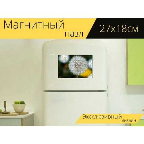 Магнитный пазл Цветок, одуванчик, полевой цветок на холодильник 27 x 18 см.