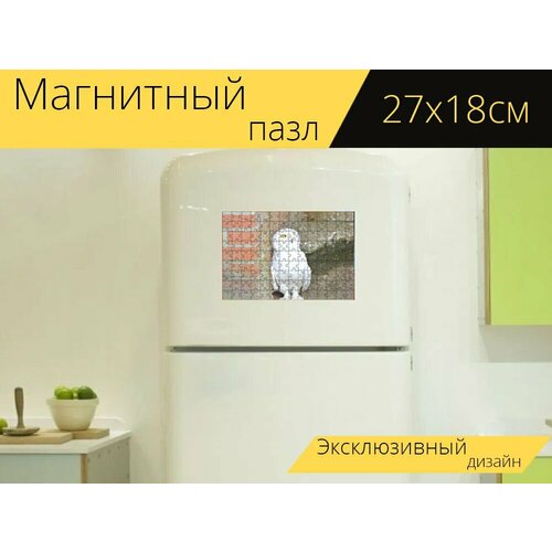 Магнитный пазл Снежная сова, белый, сова на холодильник 27 x 18 см. магнитный пазл снежная сова ель снег на холодильник 27 x 18 см