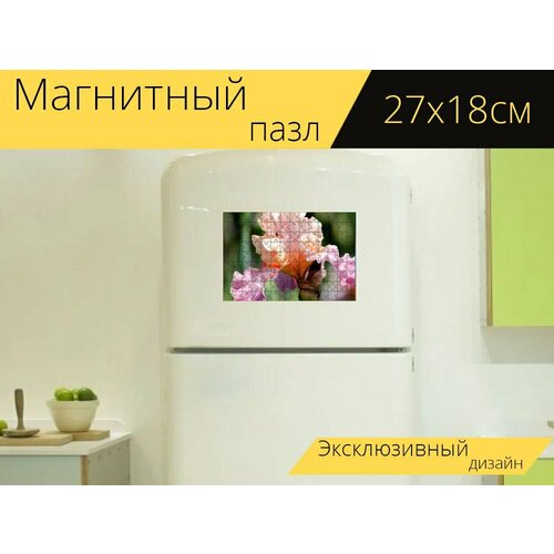 магнитный пазл карликовый ирис ирис цвести на холодильник 27 x 18 см Магнитный пазл Ирис, розовый ирис, цветок на холодильник 27 x 18 см.