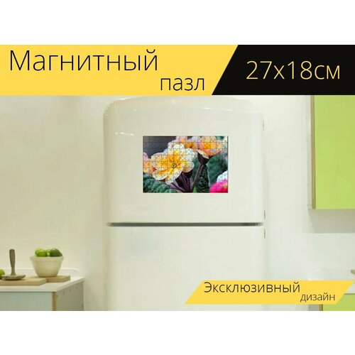 Магнитный пазл Первоцвет, цветок, роса на холодильник 27 x 18 см.