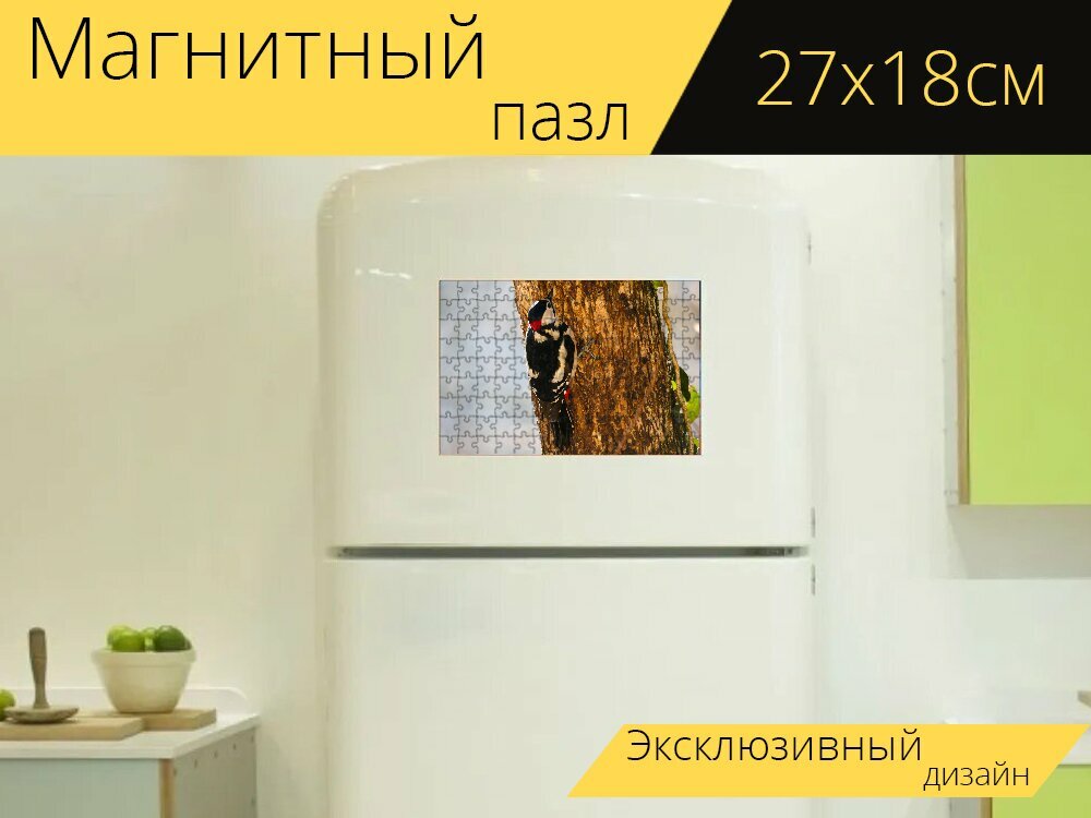 Магнитный пазл "Дикая природа, птица, дятел" на холодильник 27 x 18 см.