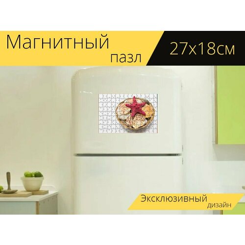 Магнитный пазл Оболочка, море, морская раковина на холодильник 27 x 18 см.