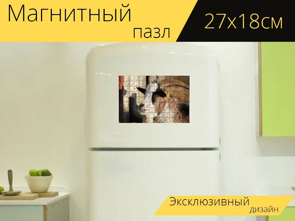 Магнитный пазл "Козел, рога, домашняя коза" на холодильник 27 x 18 см.
